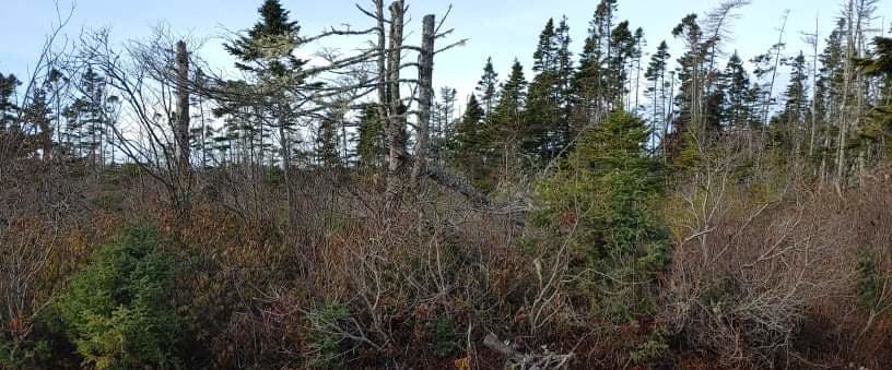Shelburne Nova Scotia - 2.65 acres