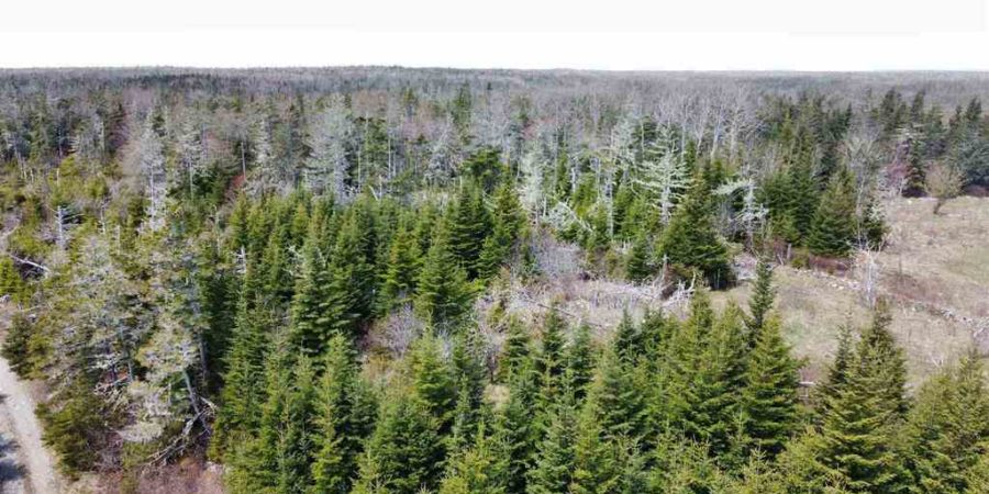 Barrington, Nova Scotia - 204 acres