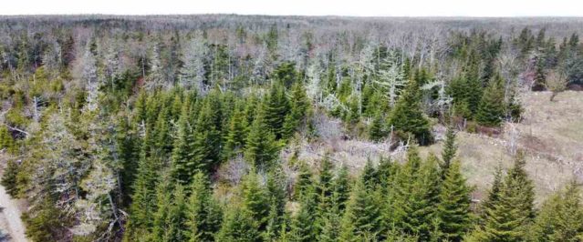 Barrington, Nova Scotia - 204 acres