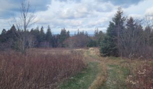 Land 14 acres in Cape Breton