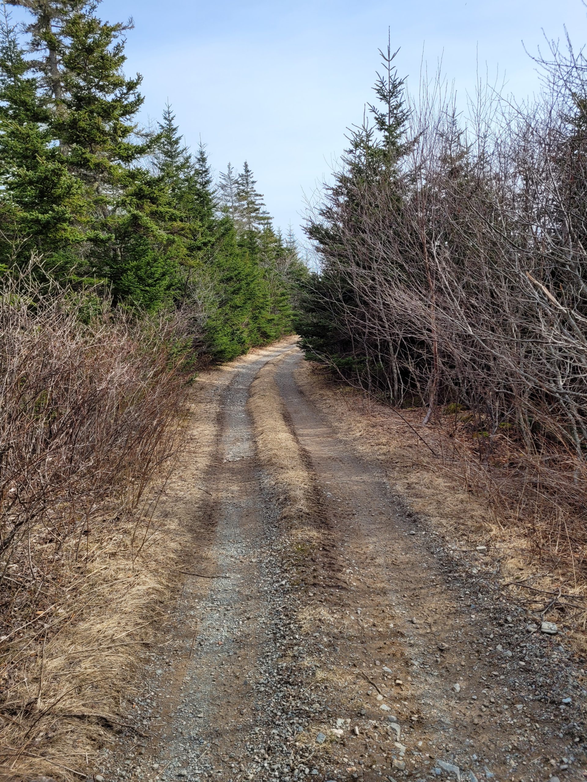 Harrigan Cove Laneway