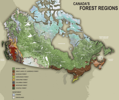 Canada Forest Regions